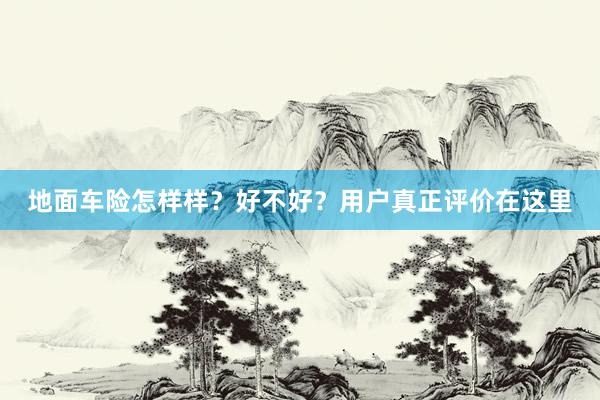 地面车险怎样样？好不好？用户真正评价在这里