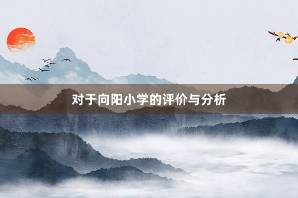 对于向阳小学的评价与分析